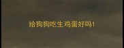 给狗狗吃生鸡蛋好吗