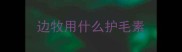 边牧用什么护毛素