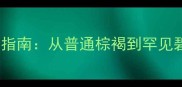 拉布拉多眼睛颜色鉴别指南从普通棕褐到罕见碧瞳的科学养护全攻略