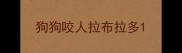 狗狗咬人拉布拉多