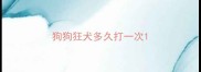 狗狗狂犬多久打一次