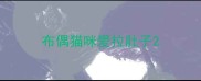 布偶猫咪爱拉肚子