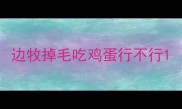 边牧掉毛吃鸡蛋行不行