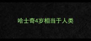 哈士奇4岁相当于人类