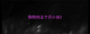狗狗怕五个月小孩