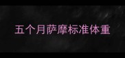 五个月萨摩标准体重