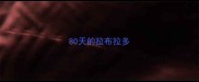 80天的拉布拉多