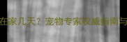 狗狗能独自在家几天宠物专家权威指南与安全措施全