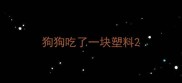 狗狗吃了一块塑料