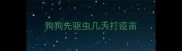 狗狗先驱虫几天打疫苗