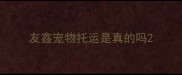 友鑫宠物托运是真的吗