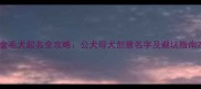 金毛犬起名全攻略公犬母犬创意名字及避坑指南
