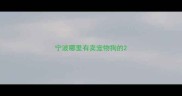 宁波哪里有卖宠物狗的