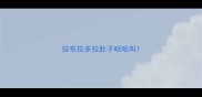 拉布拉多拉肚子咕咕叫
