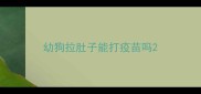 幼狗拉肚子能打疫苗吗