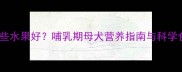 北京泰迪生完吃哪些水果好哺乳期母犬营养指南与科学食谱附食谱表