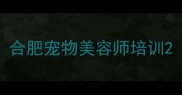 合肥宠物美容师培训