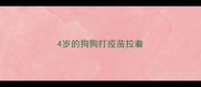 4岁的狗狗打疫苗拉着