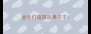 金毛打疫苗后鼻子干
