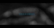 拉布拉多拉稀刚好