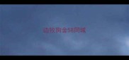 边牧狗舍58同城