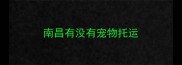南昌有没有宠物托运