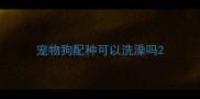 宠物狗配种可以洗澡吗