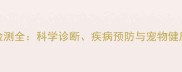 狗狗血清检测全科学诊断疾病预防与宠物健康管理指南