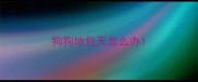 狗狗地包天怎么办