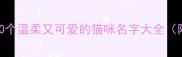 母猫起名必看100个温柔又可爱的猫咪名字大全附起名攻略