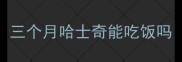 三个月哈士奇能吃饭吗