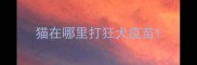 猫在哪里打狂犬疫苗