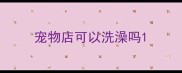 宠物店可以洗澡吗
