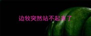 边牧突然站不起来了