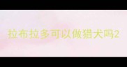 拉布拉多可以做猎犬吗
