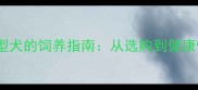哈士奇作为大型犬的饲养指南从选购到健康管理的全攻略