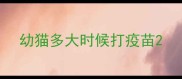 幼猫多大时候打疫苗