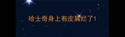 哈士奇身上有皮屑烂了