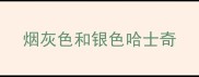 烟灰色和银色哈士奇