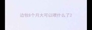 边牧8个月大可以喂什么了