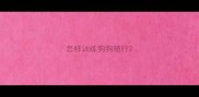 怎样训练狗狗随行