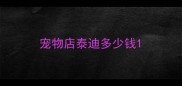 宠物店泰迪多少钱
