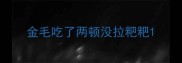 金毛吃了两顿没拉粑粑