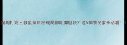 狗狗打完三联疫苗后出现局部红肿包块这5种情况家长必看