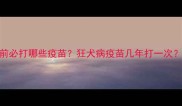 幼犬疫苗计划全攻略1岁前必打哪些疫苗狂犬病疫苗几年打一次附疫苗时间表和注意事项