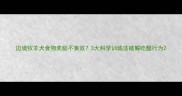 边境牧羊犬食物奖励不奏效3大科学训练法破解吃醋行为