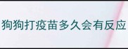 狗狗打疫苗多久会有反应