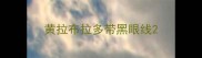 黄拉布拉多带黑眼线