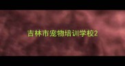吉林市宠物培训学校