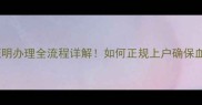 边牧出生证明办理全流程详解如何正规上户确保血统纯正